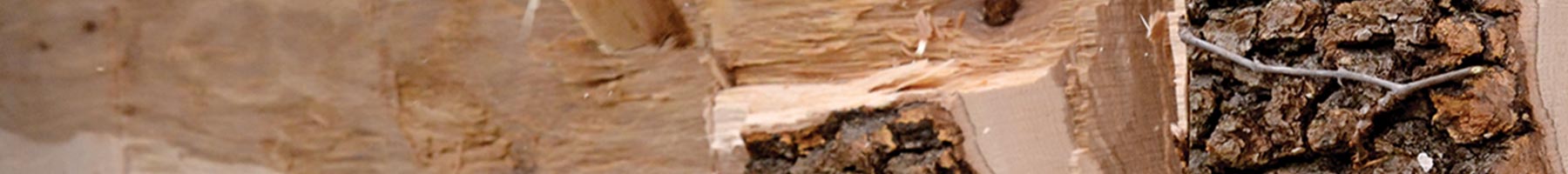 a chopped log