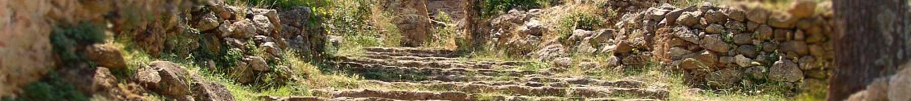 grass-grown stone stairs with stone walls on either side