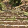 grass-grown stone stairs with stone walls on either side