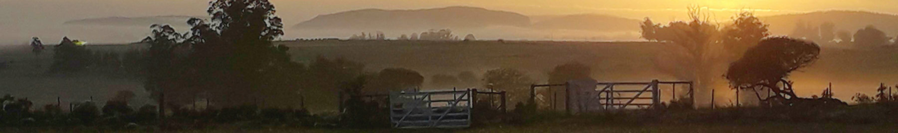 fence and rolling hills in a golden sunset