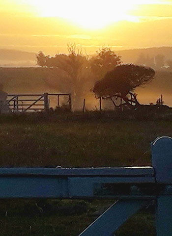 fence and rolling hills in a golden sunset