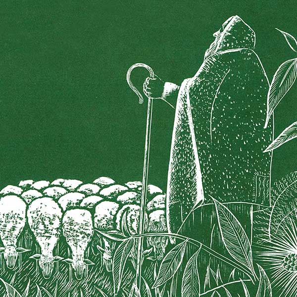 illustration of an old shepherd looking after a flock of sheep