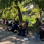 a group of singers performing in a park
