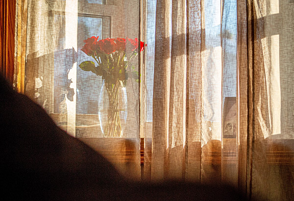a bouquet of roses on a windowsill