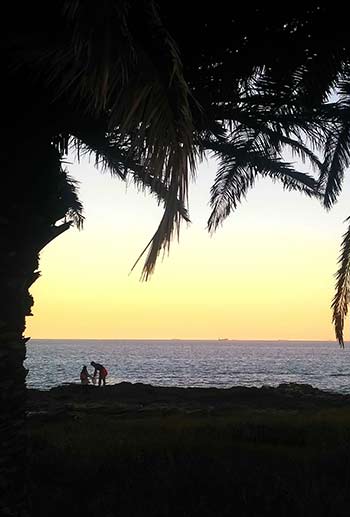 boat on the sea under palm branches