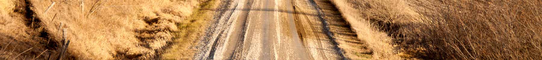 photo of a dirt road through brown fields, Iowa, January 2012, Tony Fischer