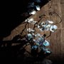 white orchids against a wooden wall