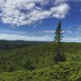 a mountainside in summer