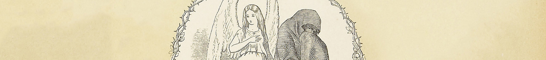 illustration of an angel