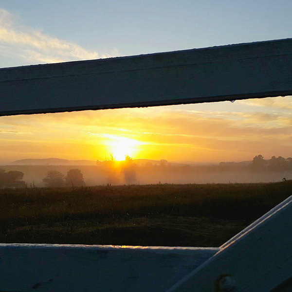Rural sunset seen through a gate