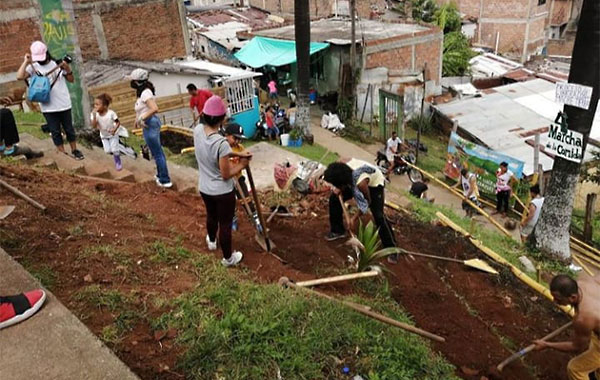 people planting seedlings in a steep hill garden