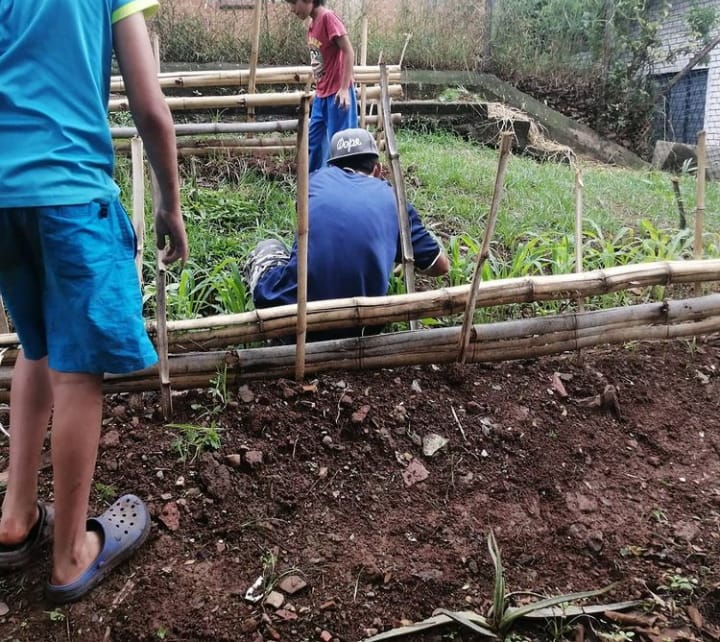 Huerta comunitaria con trabajadores, tierra y borde de bambú.