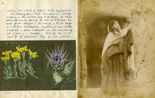illustrations of flowers in a journal entry