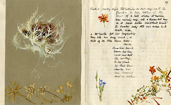 illustrations of flowers in a journal entry