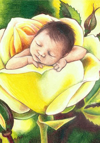Pintura de un bebé en una rosa