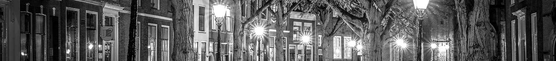 black & white photo of streetlights on a tree-lined lane