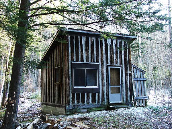 photo of a small cabin beneath a hemlock tree