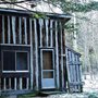 photo of a small cabin beneath a hemlock tree