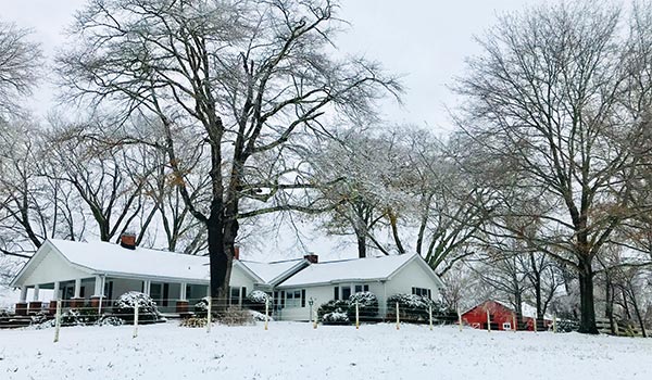 photo of a white house surrounded by trees in the winter