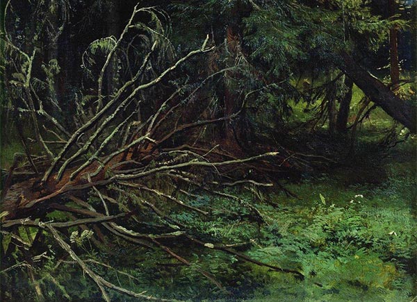 painting of fallen down fir tree in a dark forest