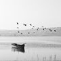 black and white photo of a rowboat in still water with birds flying over