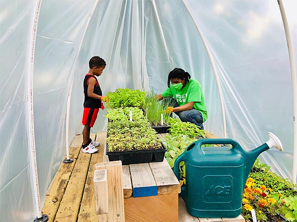young man helping a boy choose plants for their garden in a greenhouse