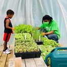 young man helping a boy choose plants for their garden in a greenhouse