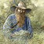 watercolor painting of Tom Bombadil from The Fellowship of the Ring