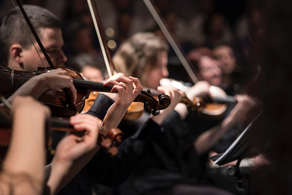 group of violin players performing