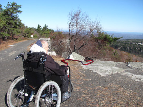 an old woman in a wheelchair looks at the view from a mountaintop