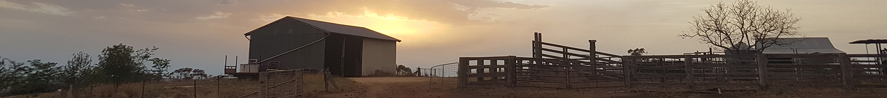 an Australian farm at sunset