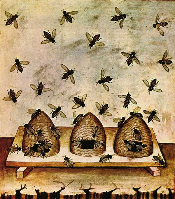 An illustration of apiaries from the Tacuinum Sanitatis, fourteenth century