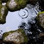 ripples on pool lined with mossy rocks