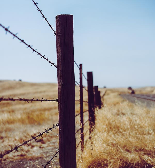 barbed wire fence