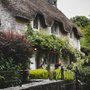 photograph of an old mossy English cottage 