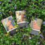 three volumes of Sigrid Undset’s Kristin Lavransdatter among blooming periwinkle