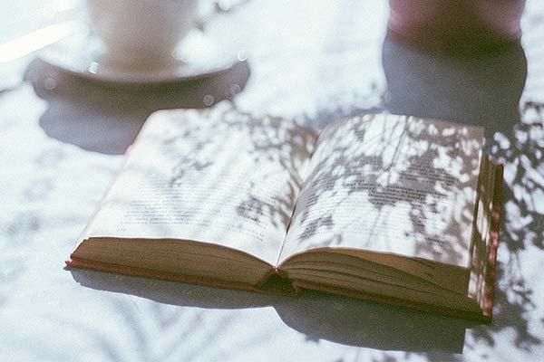 open book with the shadows of flowers across it