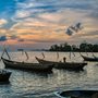 fishing boats in a bay at dusk