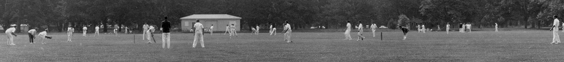 a cricket game on a big treelined field