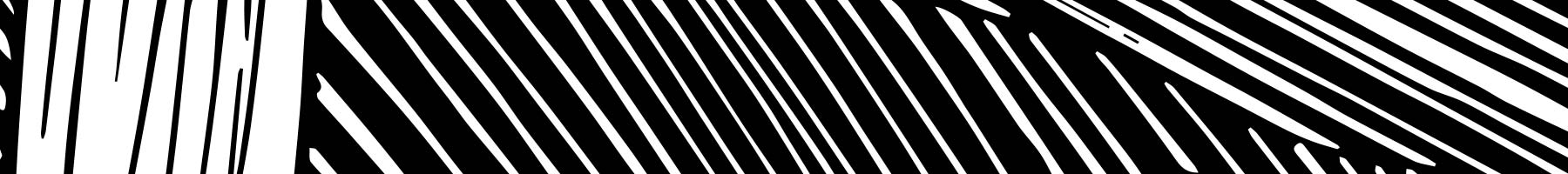 black and white line texture