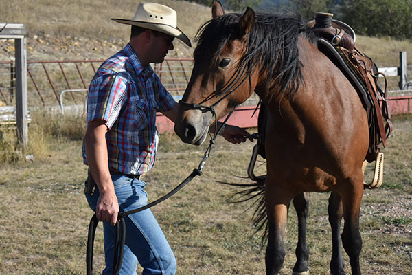 Father Bryce and a chestnut horse