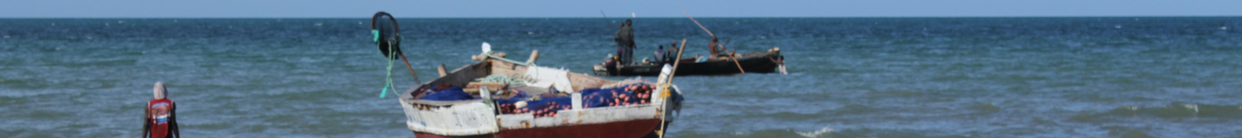 fishing boats near a shoreline