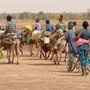 Migrants riding donkeys with children and baggage