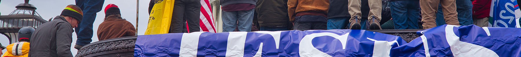 people holding flags outside the US capitol