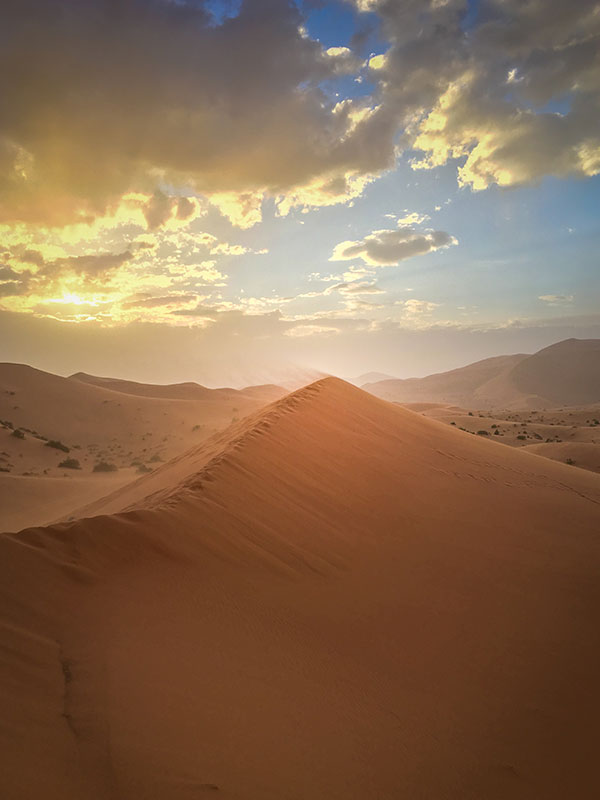Sunlight on desert dunes