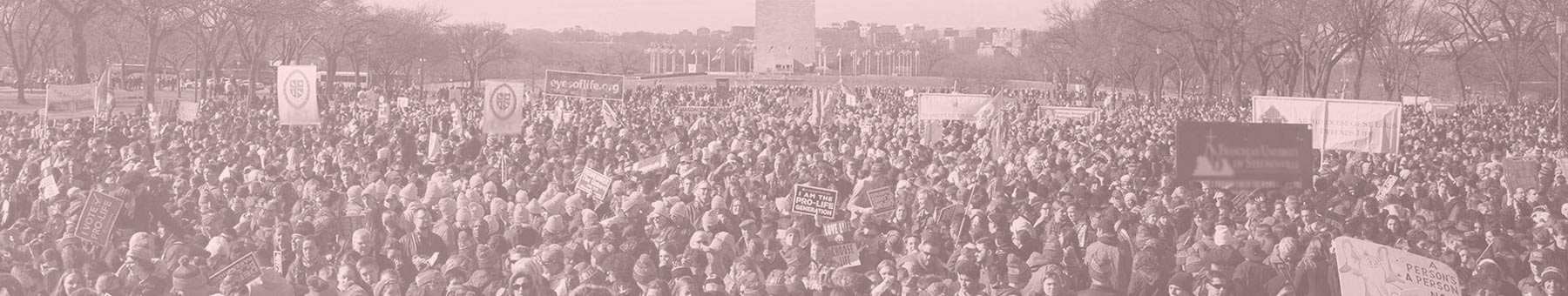 March for Life crowd near the Washington Monument