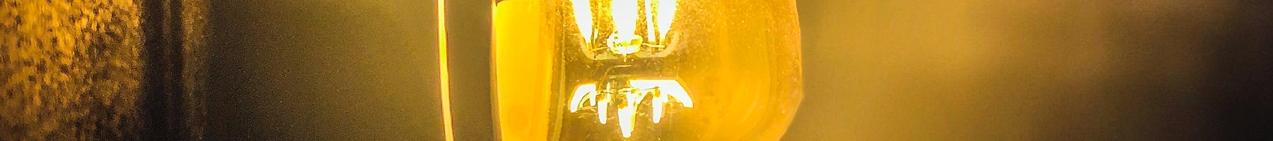 golden lightbulb