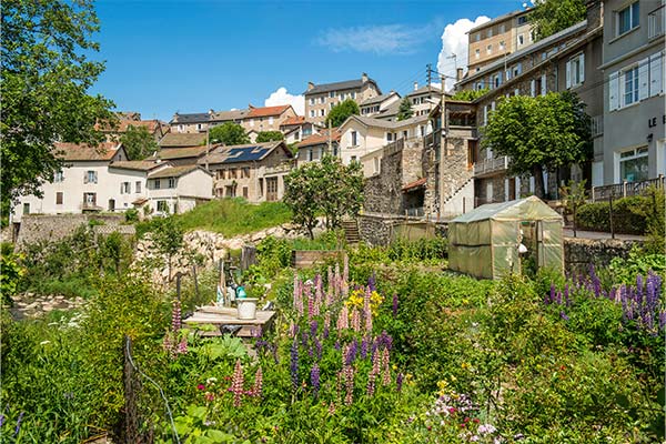 flowers blooming in Le Chambon-sur-Lignon