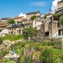 flowers blooming in Le-Chambon-sur-Lignon
