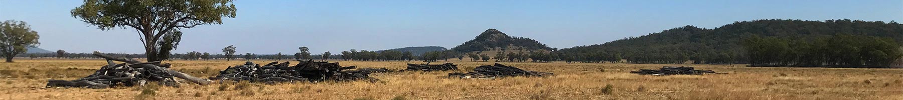 landscape of New South Wales